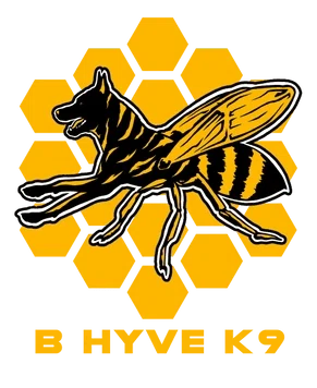 B-Hyve K9