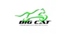 Big Cat Electric Bikes
