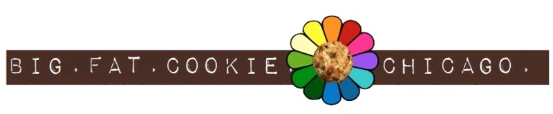 Big Fat Cookie