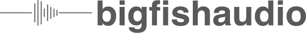 Big Fish Audio