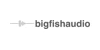 Big Fish Audio