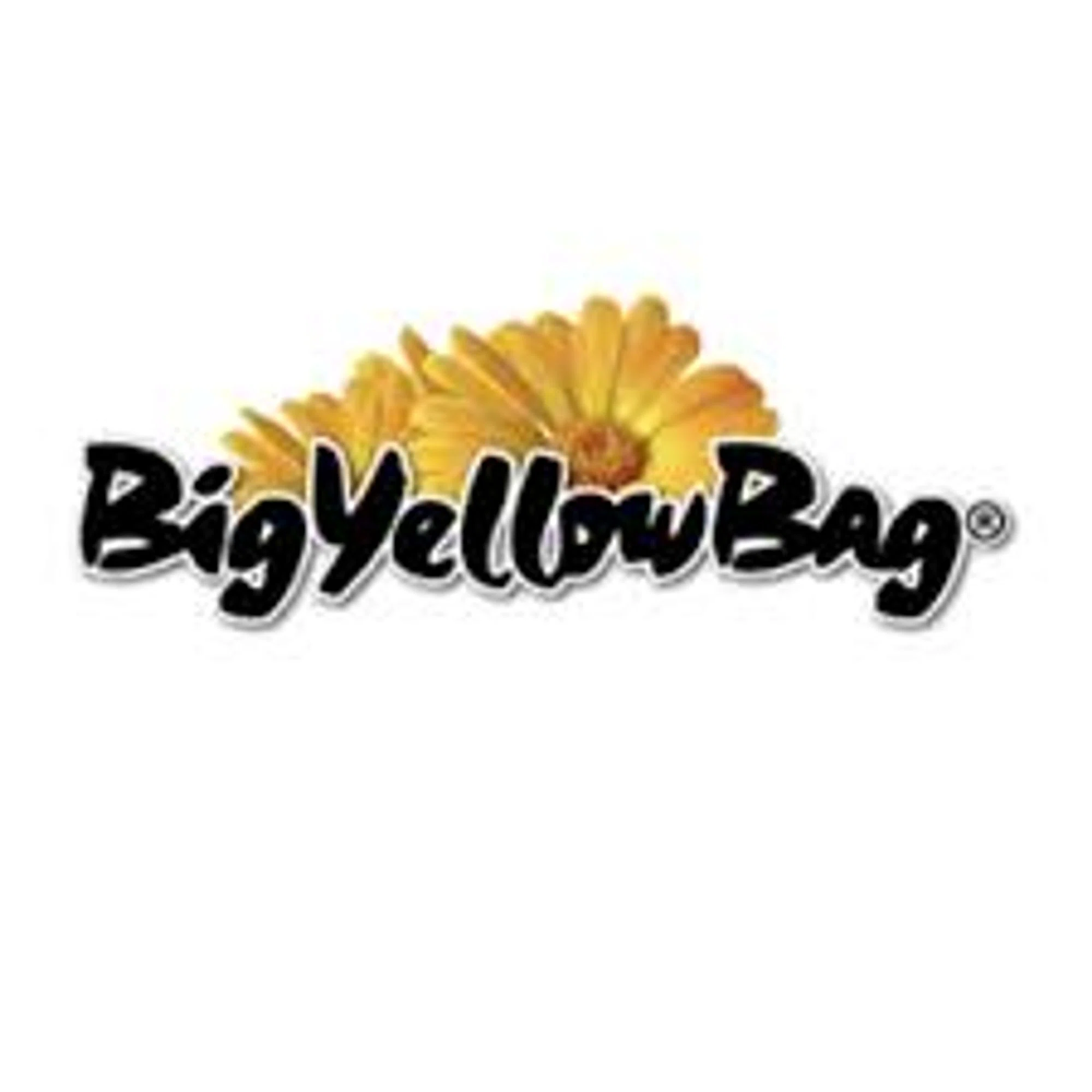 Big Yellow Bag