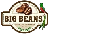 Big Beans USA