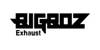 Bigboz Exhaust