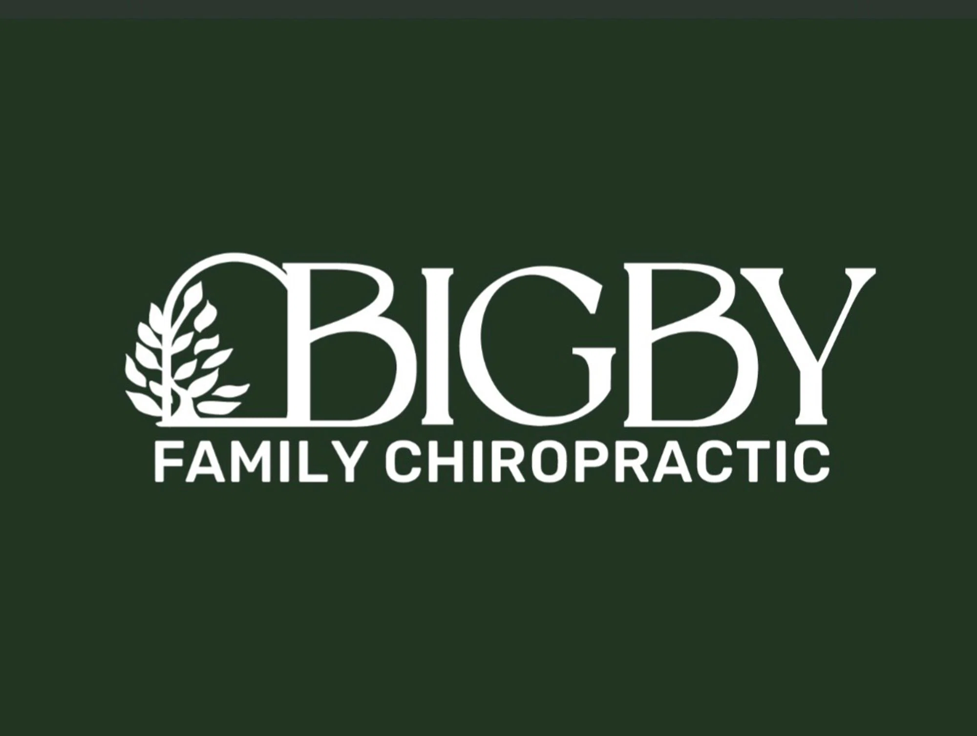 Bigby Family Chiropractic