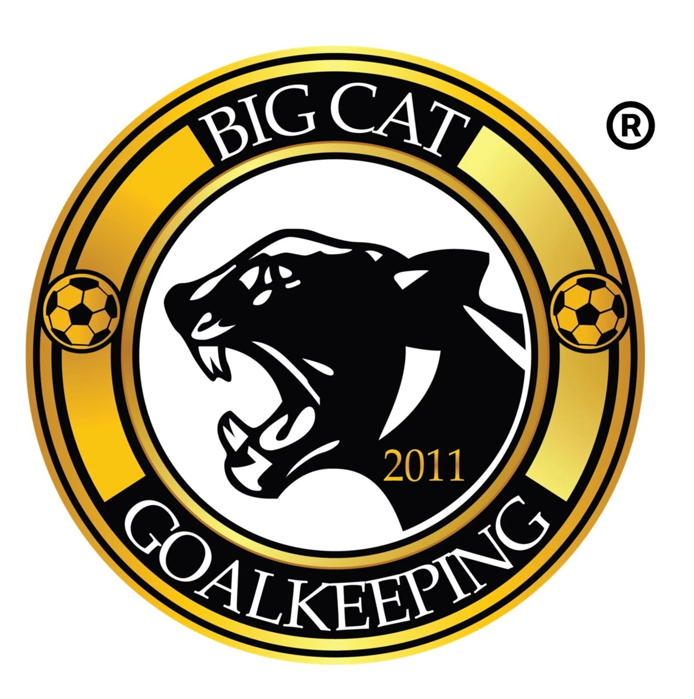 Big Cat Goalkeeping