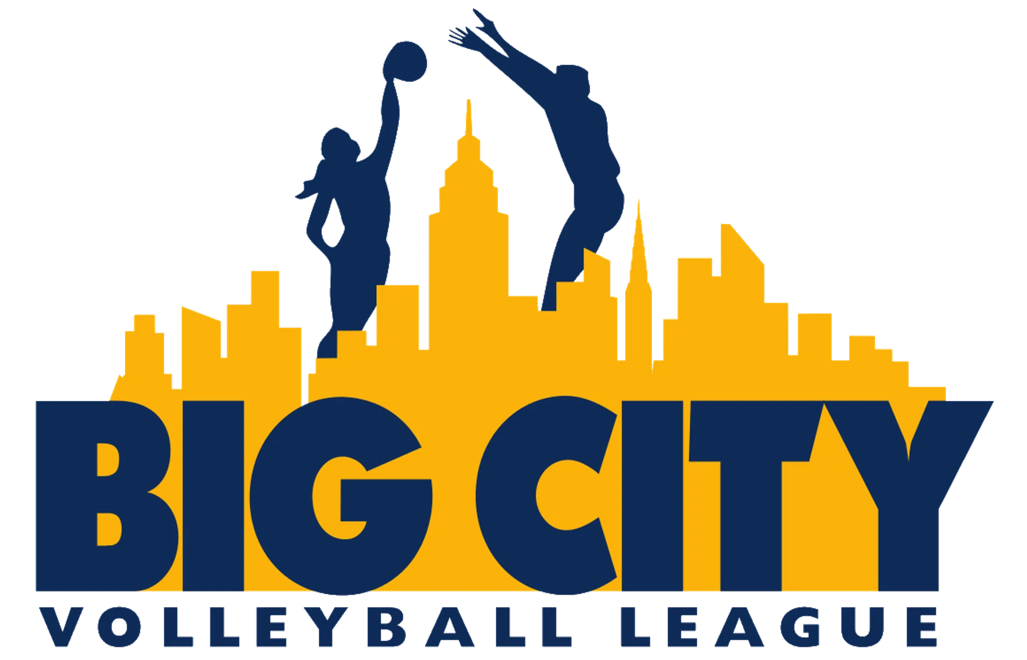 Big City Volleyball
