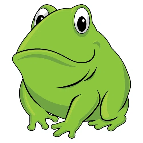 Big Frog Supply Promo Codes
