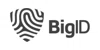 BigID