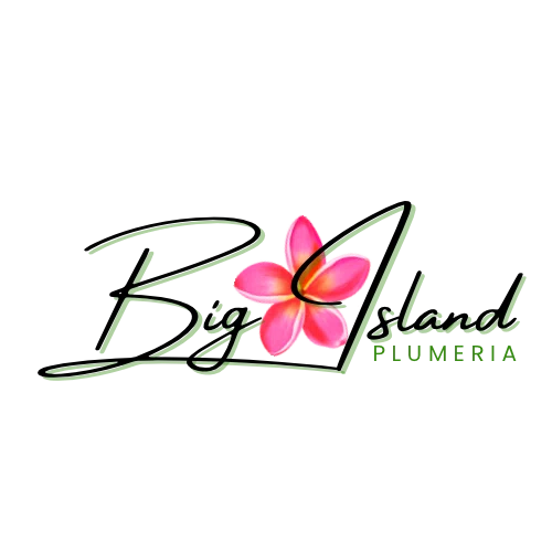 Big Island Plumeria