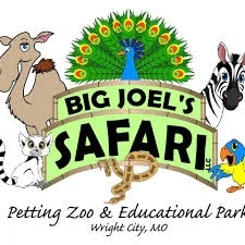 Big Joel's Safari
