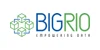 BigRio