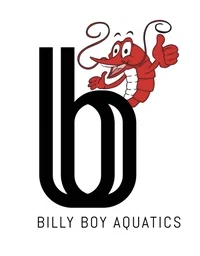 Billy Boi Aquatics