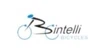 Bintelli Bicycles