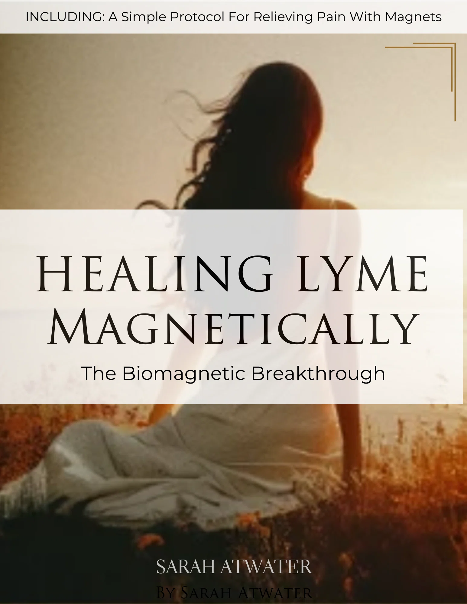 Biomagnetic Lyme Kit