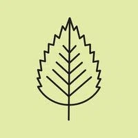 Birch Brook Soaps Logo for Exclusive Deals