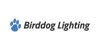 Birddog Lighting