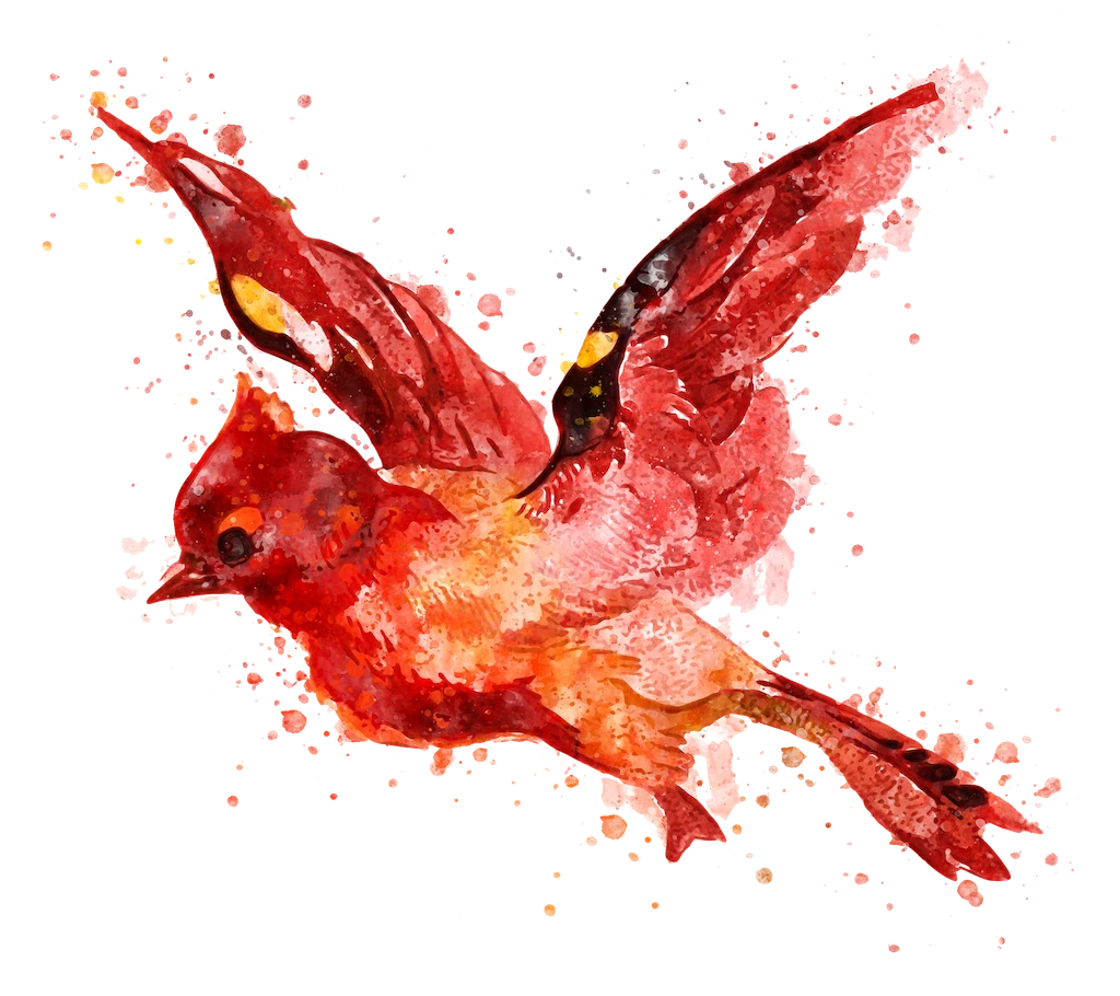 Birdie Candle Company