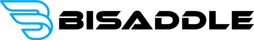 BiSaddle