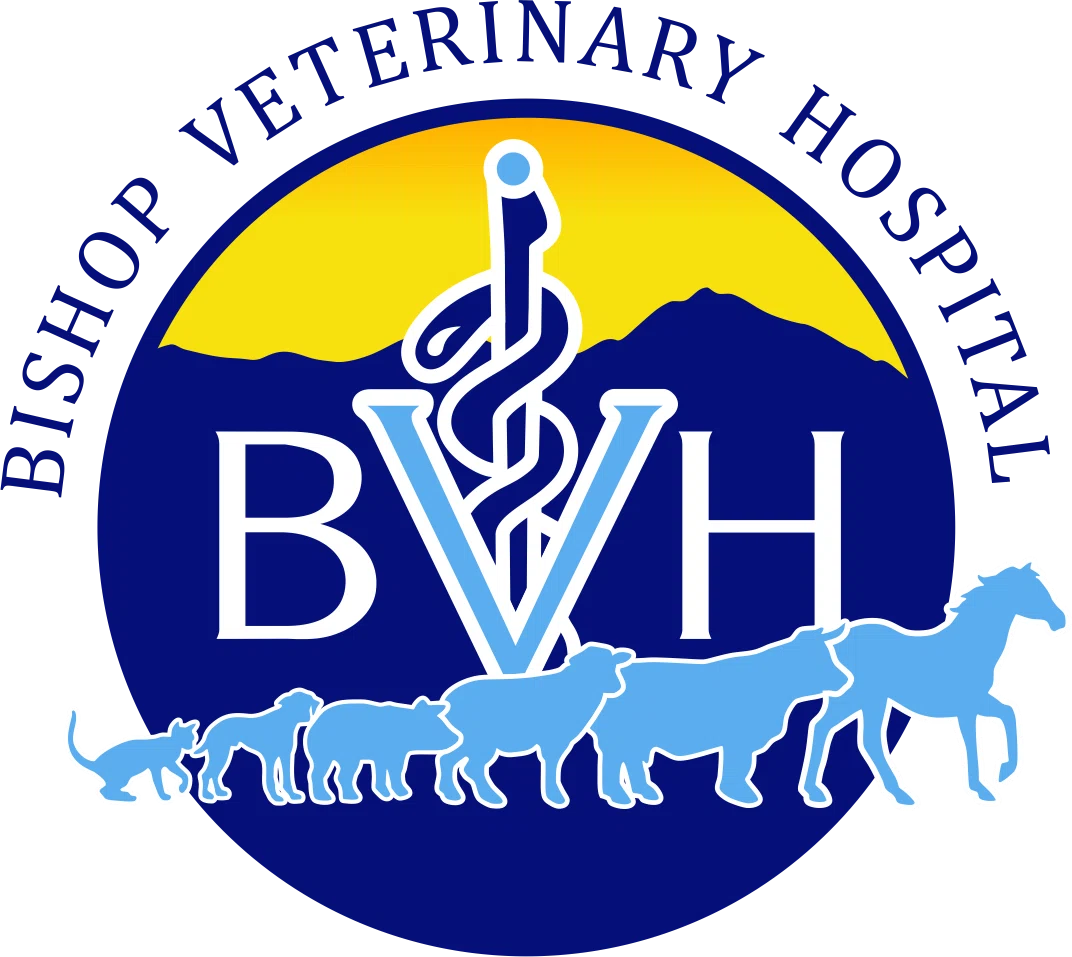 Bishop Veterinary Hospital