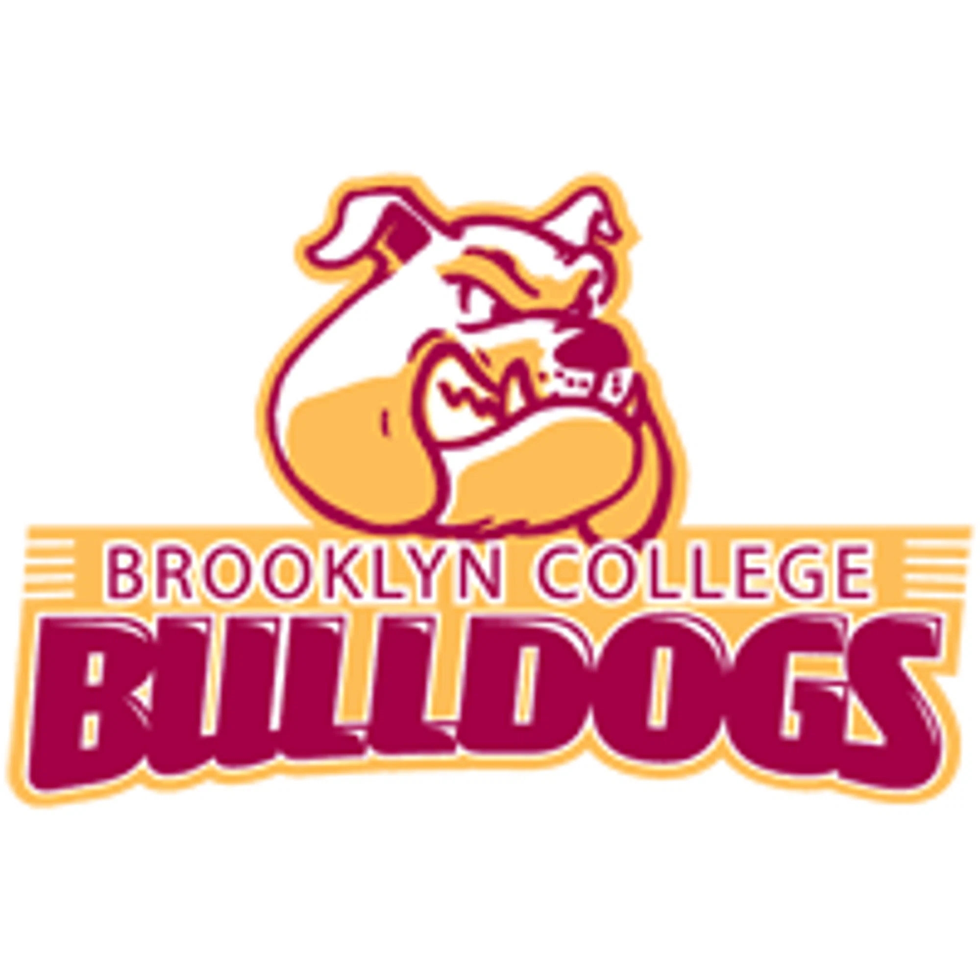 Brooklyn College Bulldogs