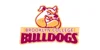 Brooklyn College Bulldogs