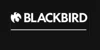 Blackbird Infoshop
