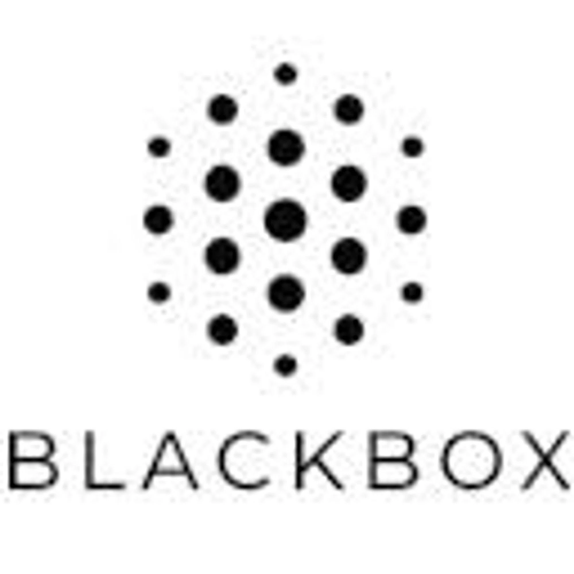 Blackbox AI