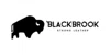 BlackBrook Case