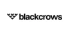 Black Crows