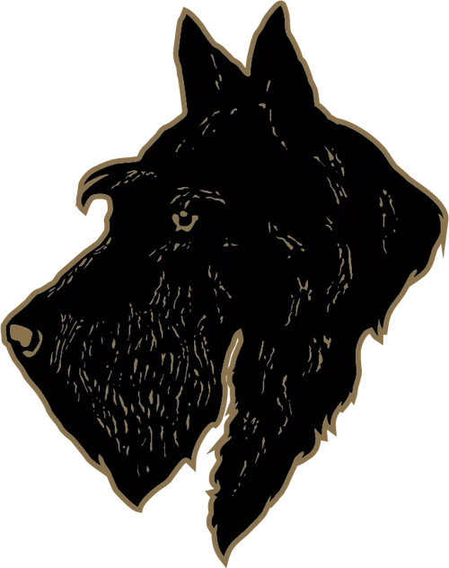 Black Scottie Chai