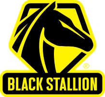 Black Stallion