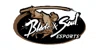 Blade & Soul