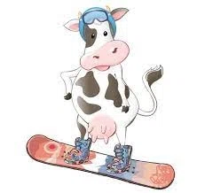 Boarderline Insanity