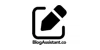 Blog Assistant