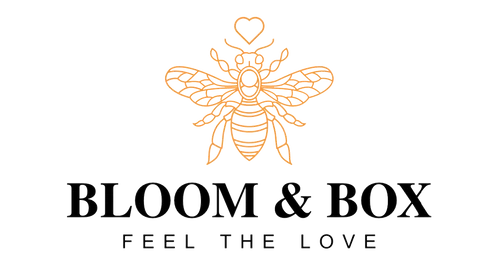 Bloom and Box
