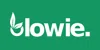 Blowie logo