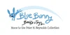 Blue Bunny Books