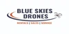 Blue Skies Drone Rental