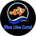 Blue Line Coral