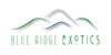 Blue Ridge Exotics
