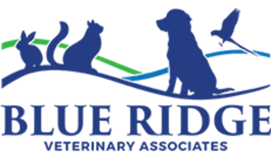Blue Ridge Veterinary Associates