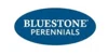 Bluestone Perennials