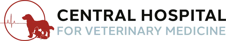 Blue Waters Animal Hospital
