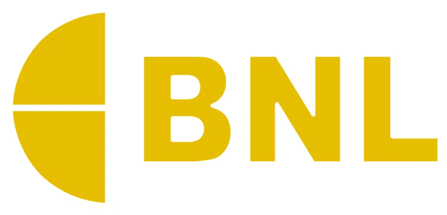 BNL Industries
