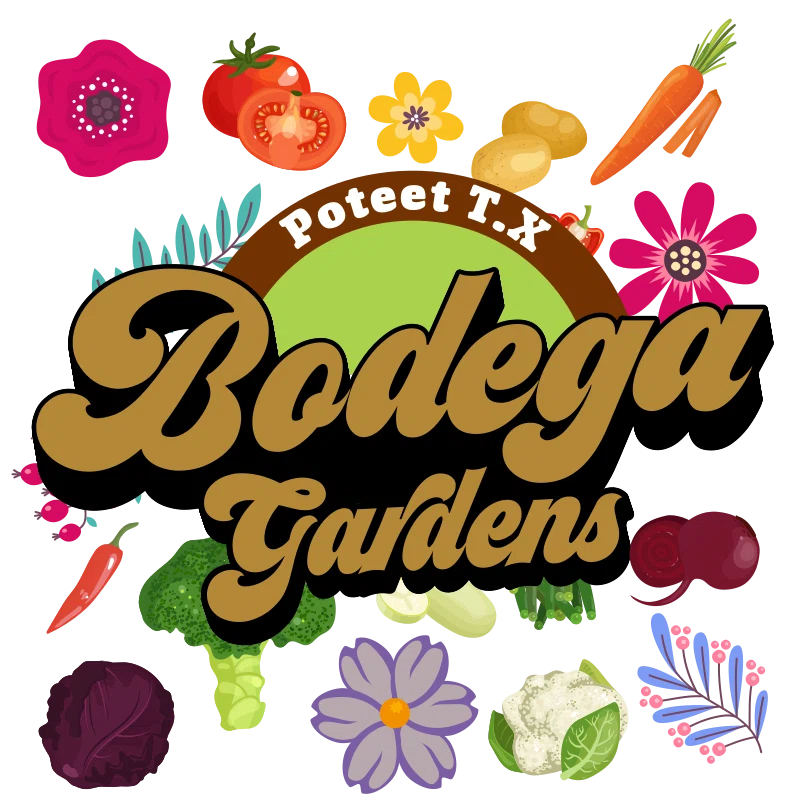 Bodega Gardens