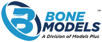 BoneModels