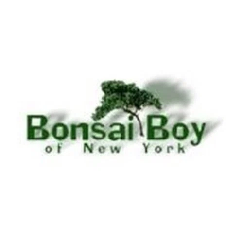 Bonsai Boy of New York