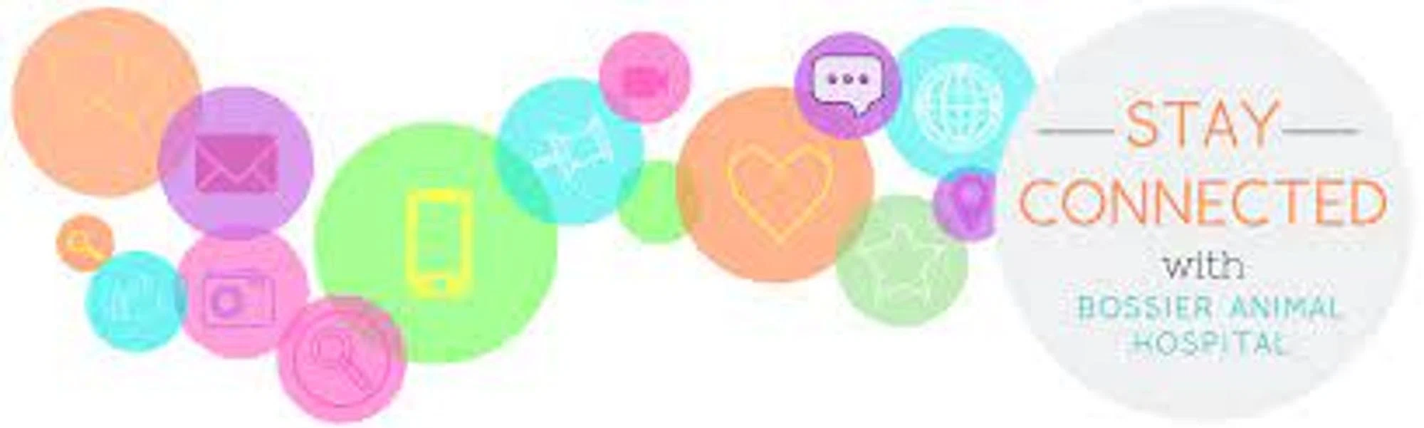 Bossier Animal Hospital