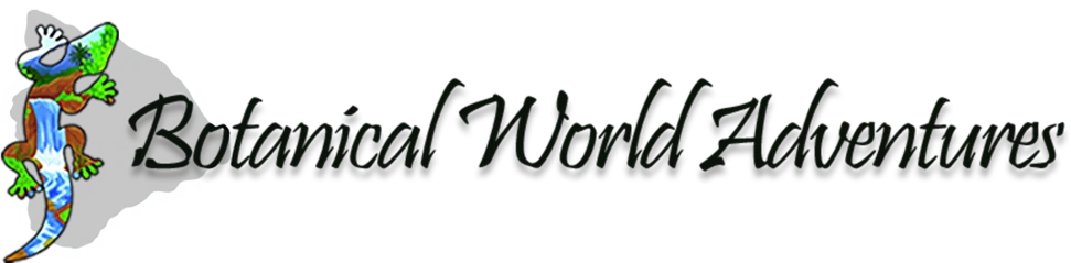 Botanical World Adventures